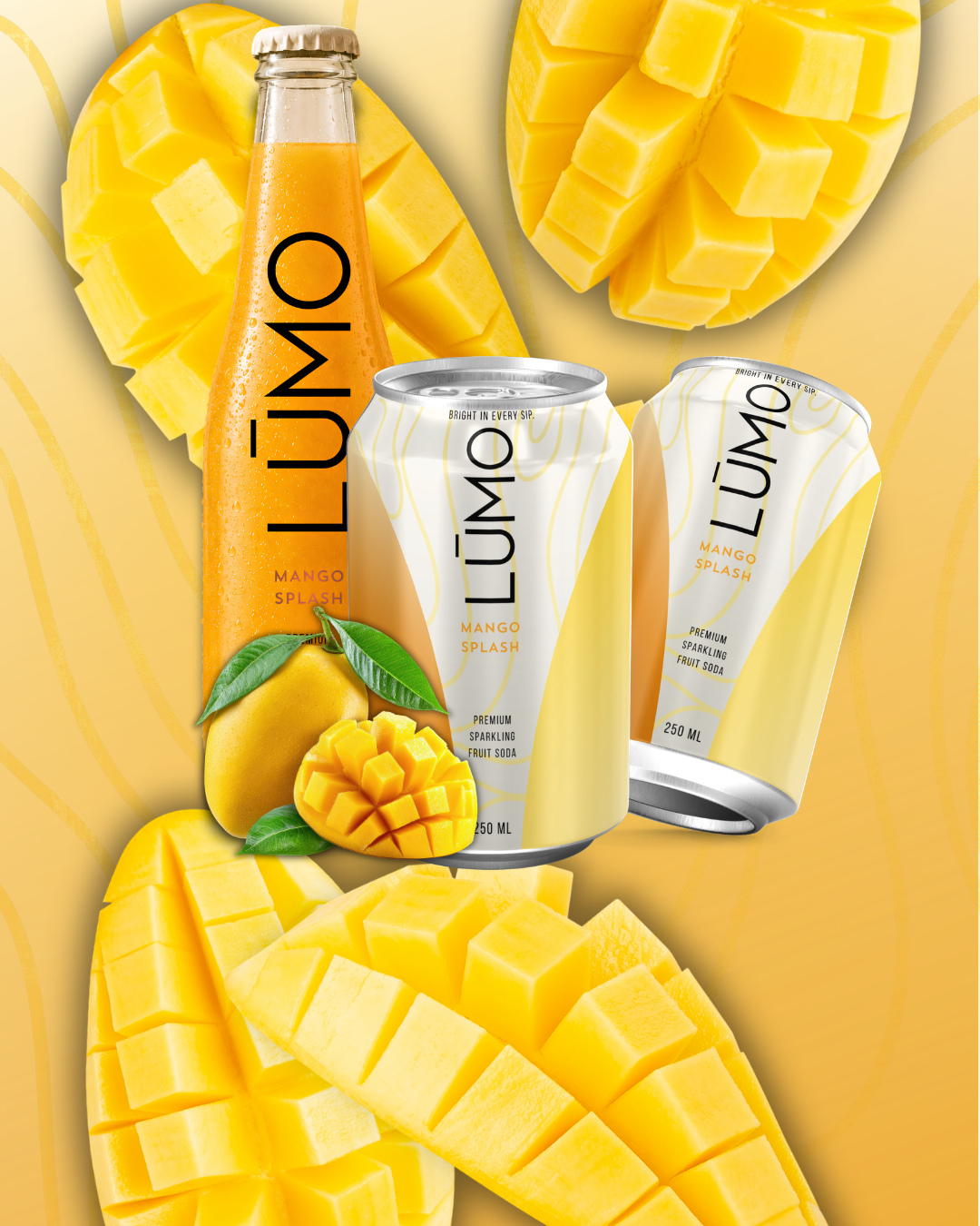 Lumo- Brand Identity 03